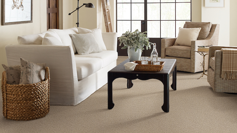 beige carpet in a living room 